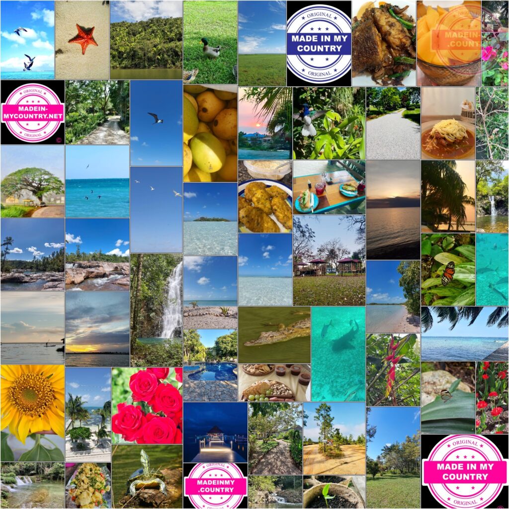 MadeinMycountry is a global platform that celebrates and supports local history, culture, art, and nature conservation efforts. For two decades, we have been sponsoring local museums, cultural organizations, travel destinations, historical sites and various cultural events around the world.